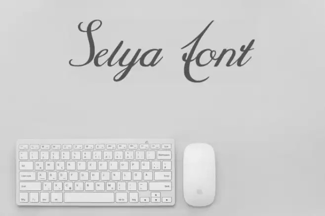 Selya Font examples