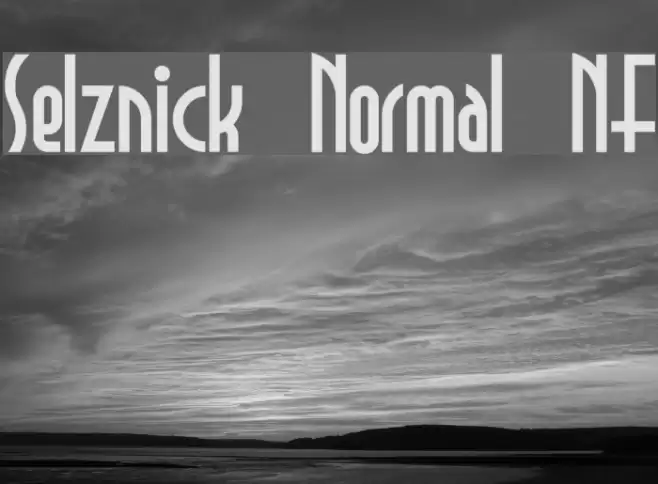 Selznick Normal NF Font examples