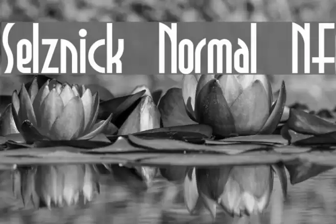 Selznick Normal NF Font examples