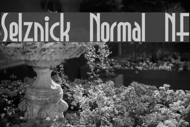 Selznick Normal NF Font examples