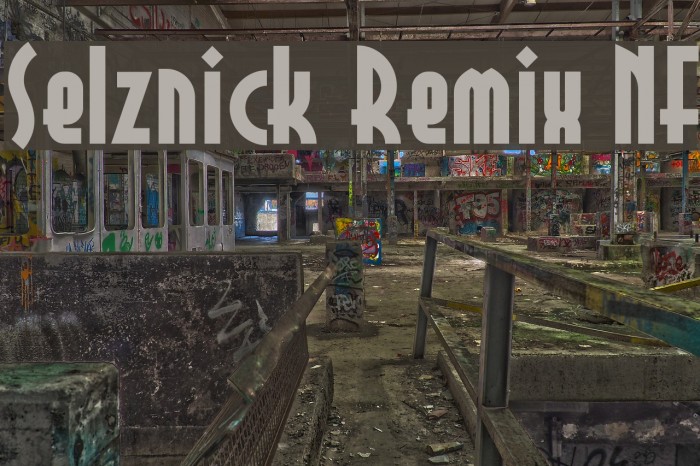 Selznick Remix NF Fonte examples
