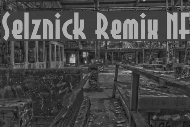Selznick Remix NF Fonte examples