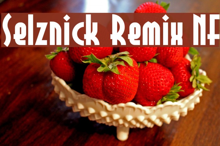 Selznick Remix NF Fonte examples