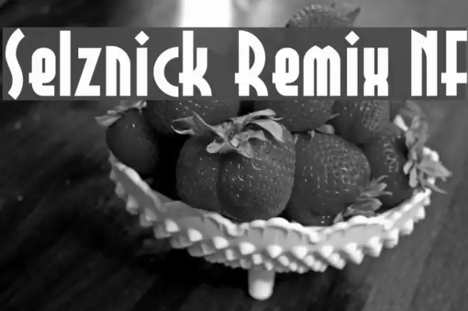 Selznick Remix NF Fonte examples