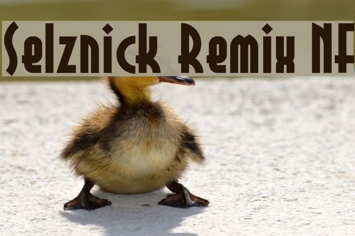 Selznick Remix NF Fonte examples