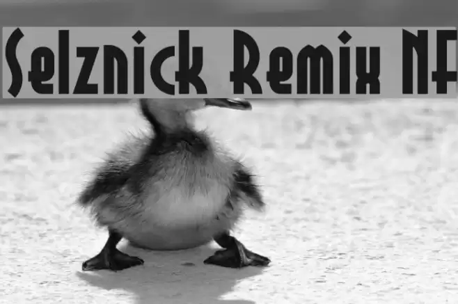 Selznick Remix NF Fonte examples
