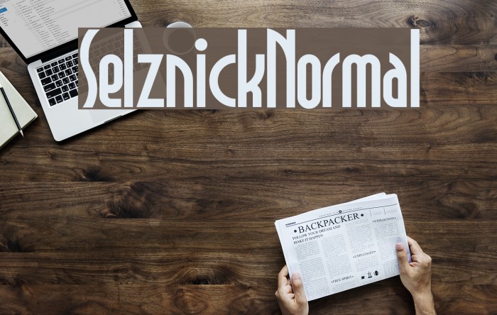 SelznickNormal Font examples