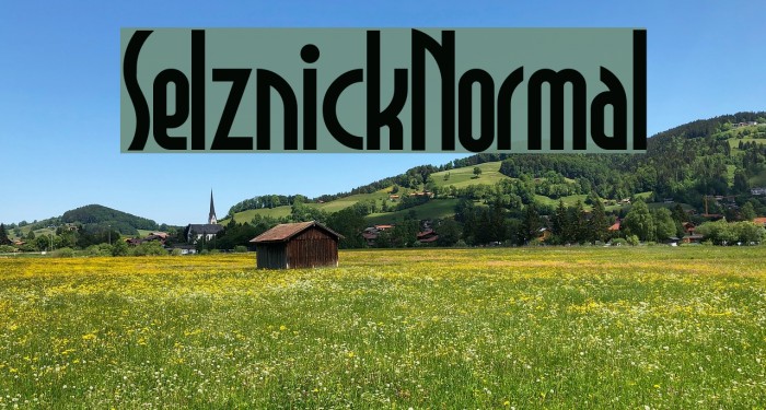 SelznickNormal Font examples