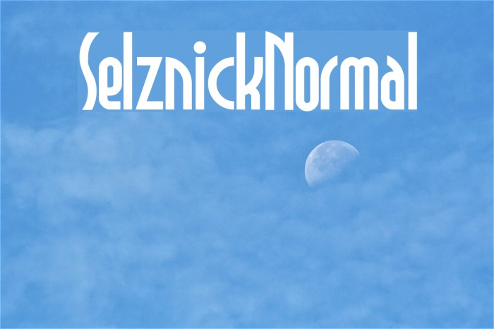 SelznickNormal Font examples