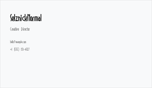 SelznickNormal Business Card