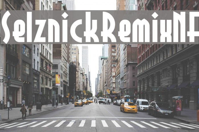 SelznickRemixNF Font examples
