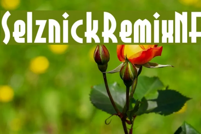 SelznickRemixNF Example 2