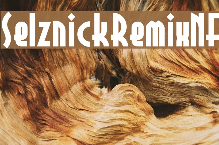 SelznickRemixNF Font examples