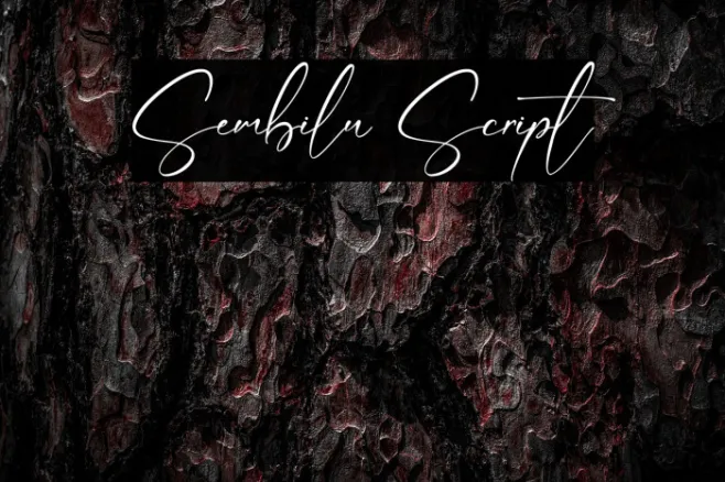 Sembilu Script Example 1