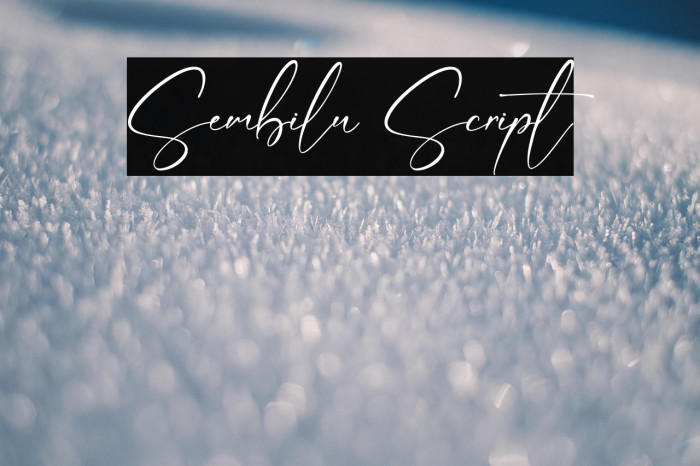 Sembilu Script Example 2