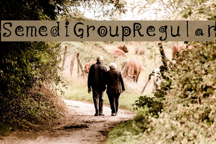 Semedi Group Regular Example 1
