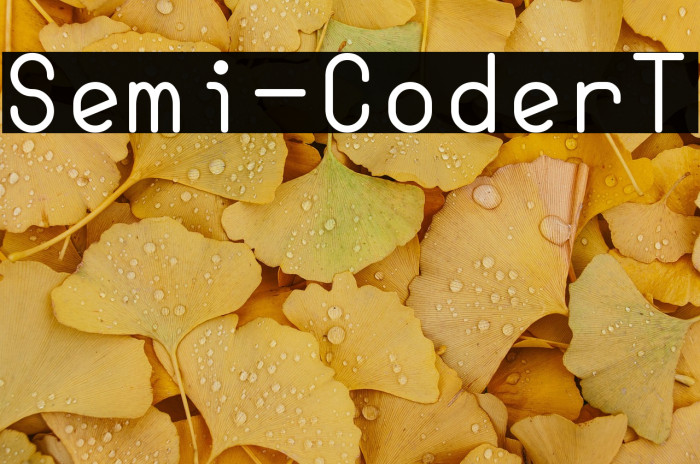 Semi-CoderT Font examples