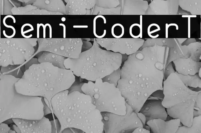 Semi-CoderT examples