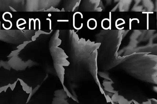 Semi-CoderT examples