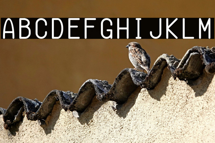 Semi-Coder Font examples