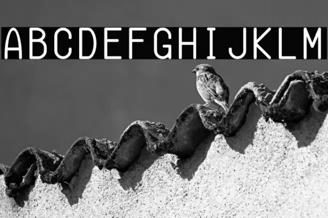 Semi-Coder  examples