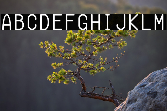 Semi-Coder Font examples