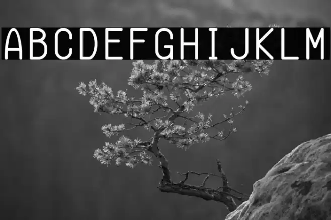 Semi-Coder  examples