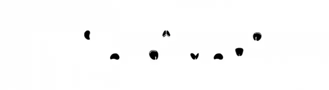 Semi Head  font caratteri gratis