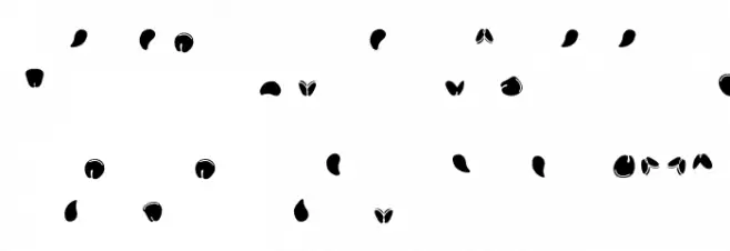 Semi Head Font UPPERCASE