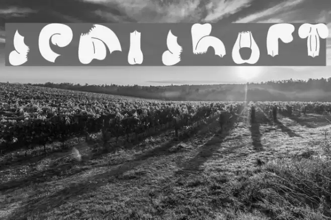 Semi Shaft Font examples