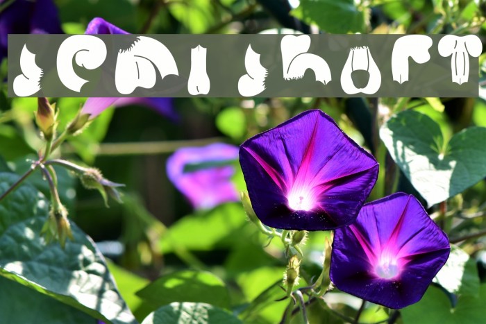 Semi Shaft Example 2