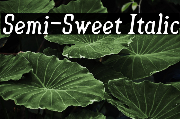 Semi-Sweet Italic Example 2