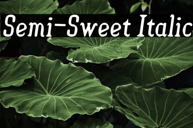 Semi-Sweet Italic Example 2