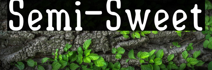 Semi-Sweet Example 3