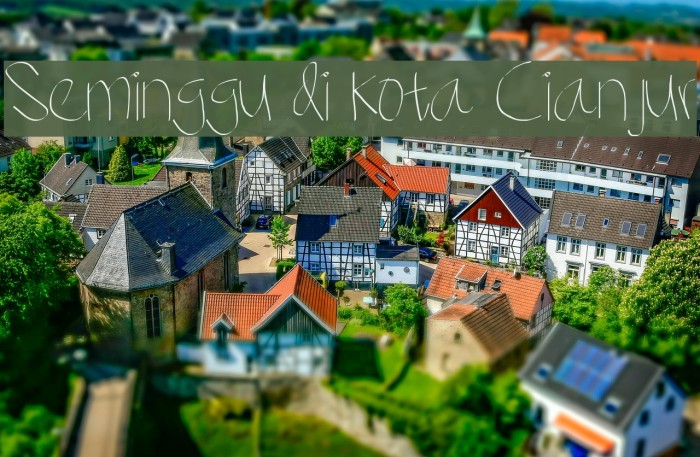 Seminggu di kota Cianjur Example 2