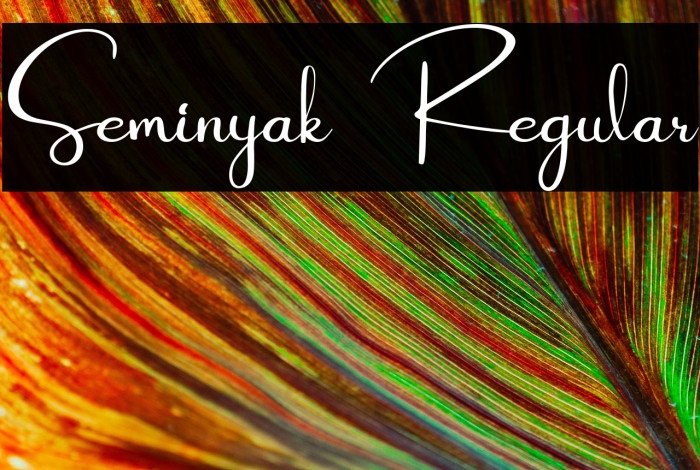 Seminyak Regular Example 2