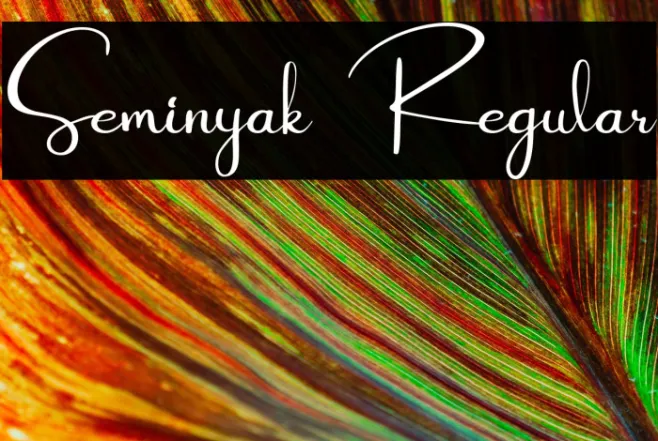 Seminyak Regular Example 2