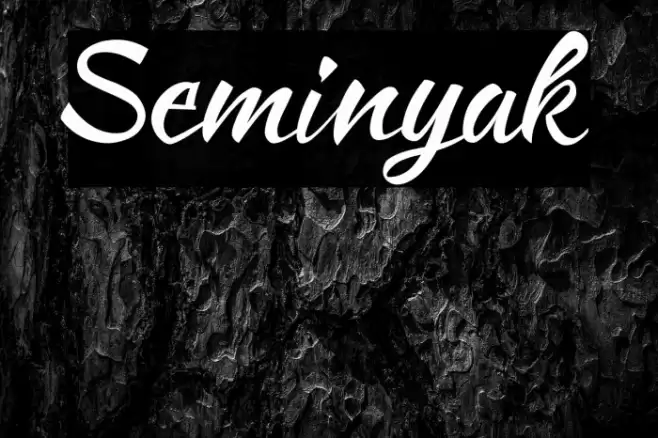 Seminyak Font examples