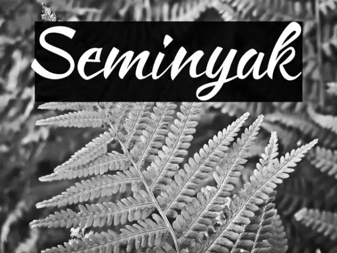 Seminyak Font examples