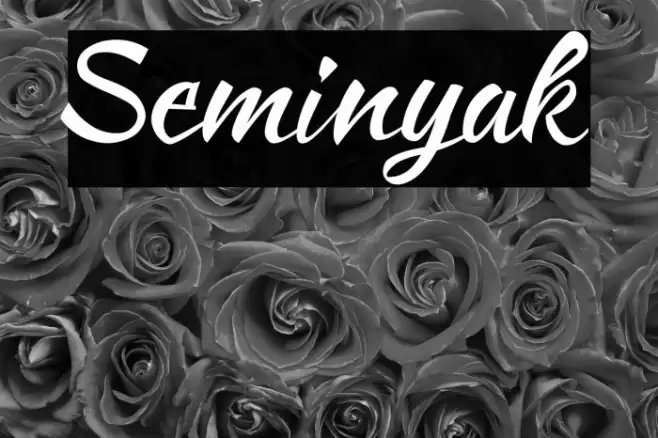 Seminyak Font examples
