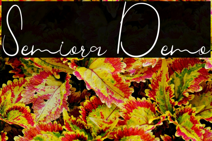 Semiora Demo Example 1