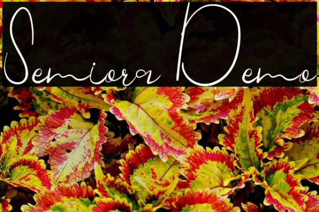Semiora Demo Example 1