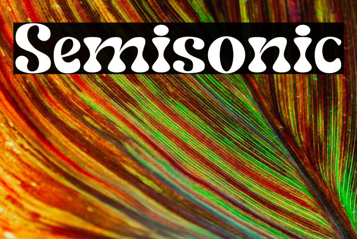 Semisonic Example 2