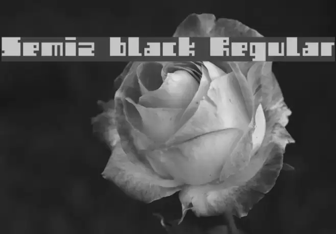 Semiz black Regular Font examples