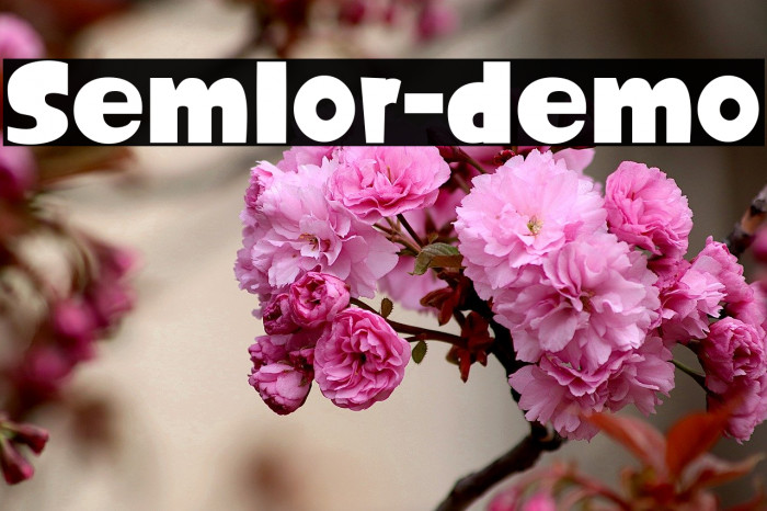 Semlor-demo Font examples