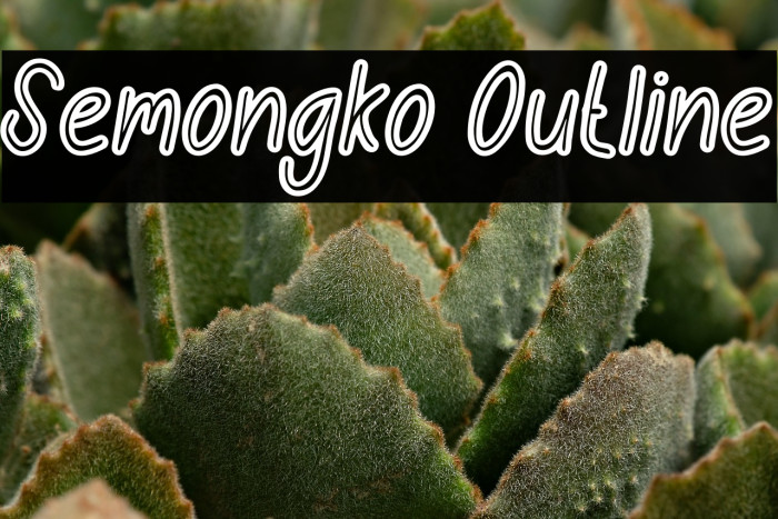 Semongko Outline Example 2