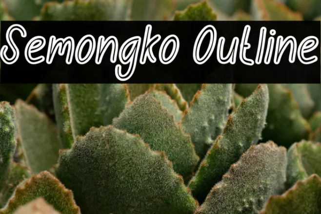 Semongko Outline Example 2