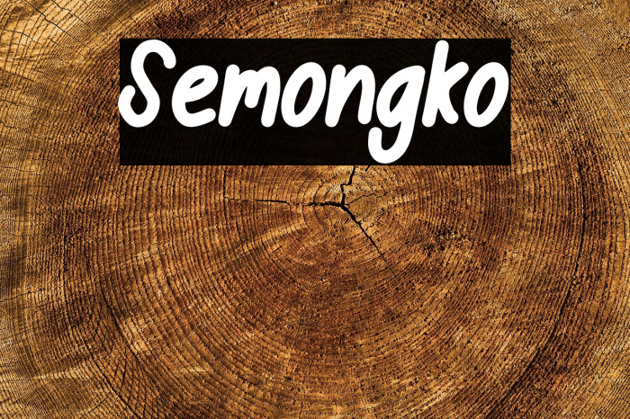 Semongko Example 2