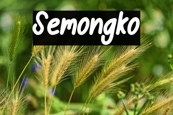 Semongko Example 3
