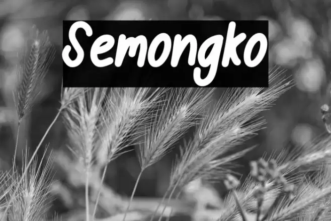 Semongko Font examples